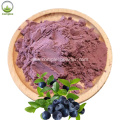 strawberry blueberry stevia powder in bulk